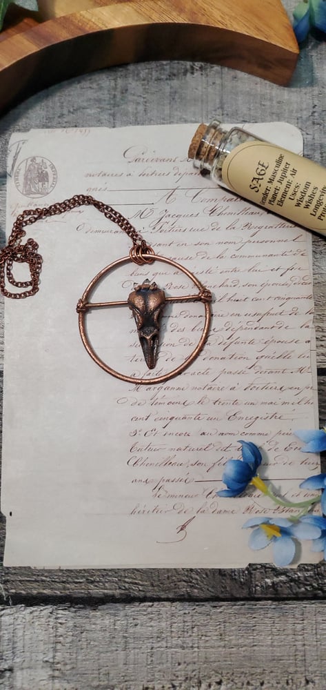 Raven Skull Herkimer Totem Pendant