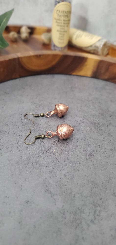 Acorn Earrings in Copper